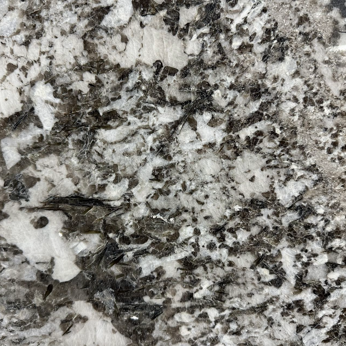 Bianco Antico Granite Countertop